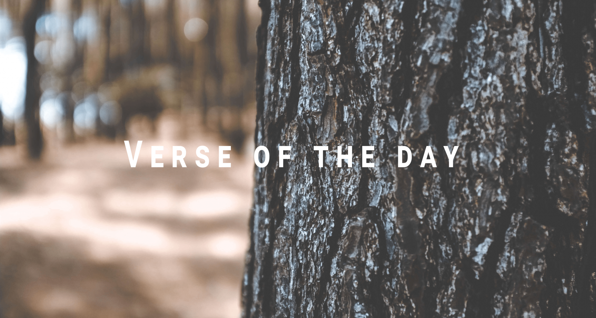 verse of the day text (2) (1)-min